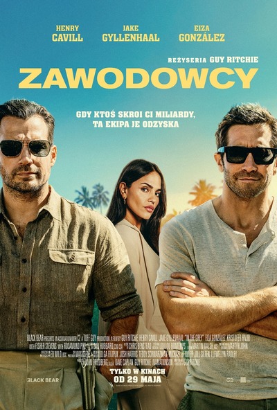 Plakat filmu: Zawodowcy